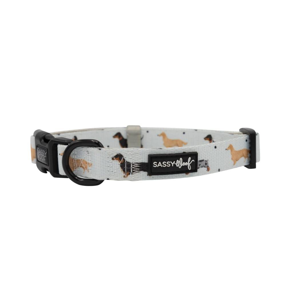101 Dachshund’ Dog Collar Dog Collars & Leashes 101 Dachshund' Dog Collar Dog Collars & Leashes