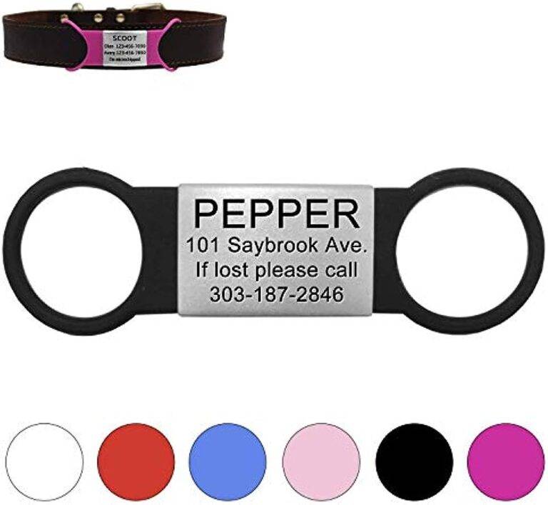 ID Tag Essentials: What to Etch for Top Dog Identification