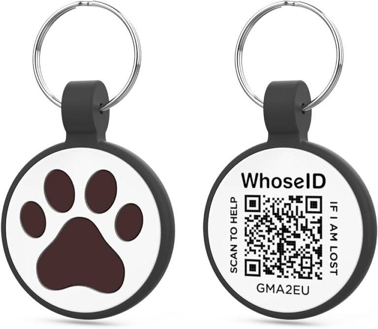 Engraved vs. Digital ID Tags: Which Dog Tags Rule the Yard