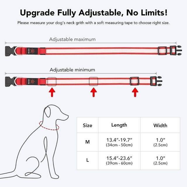 Finding the Perfect Fit: Your Collar Sizing Guide