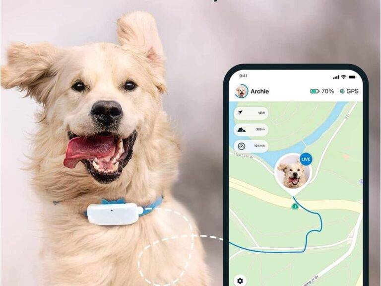 Unveiling the Importance of Dog Trackers
