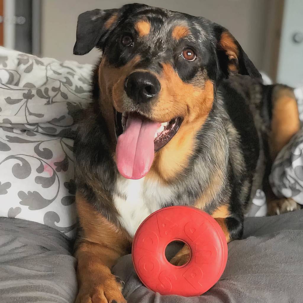 Life Saver – Chew Toy Dog Toys Life Saver - Chew Toy Dog Toys