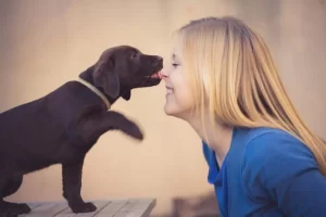 Why Does My Dog Lick Me?