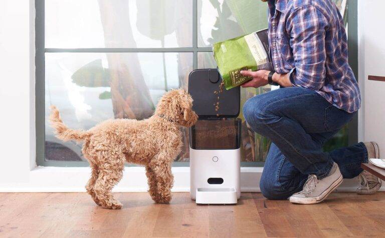 The Bright Future of Smart Dog Feeders