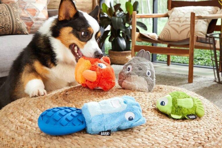Playtime Bliss: The Vital Role of Dog Toys in Your Furry Friend's Life