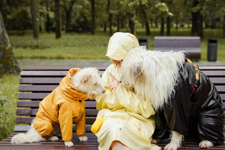 Raincoats and Fur Coats: How Stylish Dog Apparel Keeps Pups Safe in Every Season